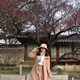 Kinh nghiệm du lịch Hàn Quốc ngắm hoa anh đào tháng 3 năm 2019