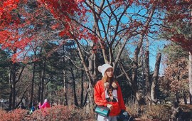 Tour du lịch Seoul - Nami - Công viên Everland - Ngắm hoa anh đào 5 ngày 4 đêm