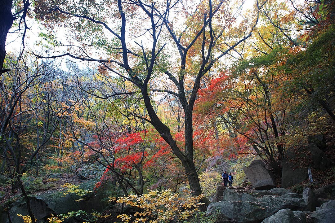 Núi Bukhansan ở phía Bắc Seoul mùa thay lá