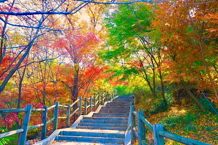 Du lịch Hàn Quốc mùa thu, những điều mà bạn không thể bỏ lỡ!